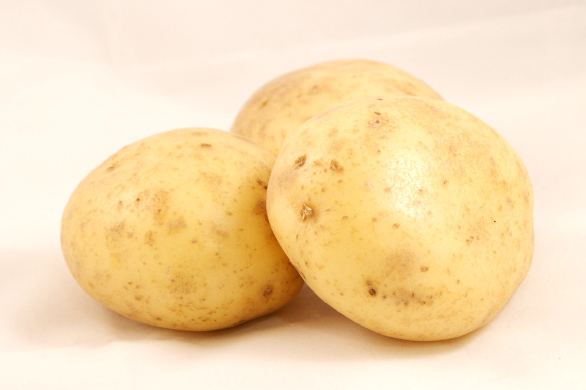 Картофель округлой формы. Картофель на белом фоне. Картофель три. Картофель один. Картофель круглый.